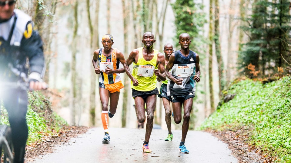 Läufer aus Afrika.