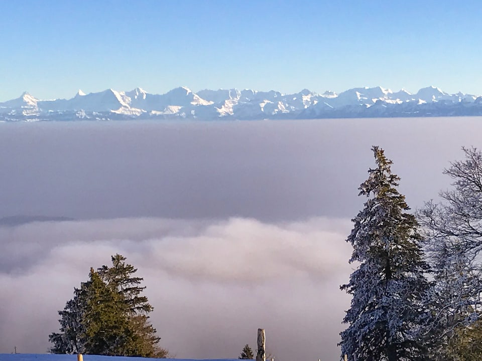 Nebelmeer, dahinter Berner Alpen