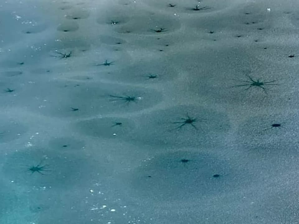 Sternförmige Muster auf gefrorenem See