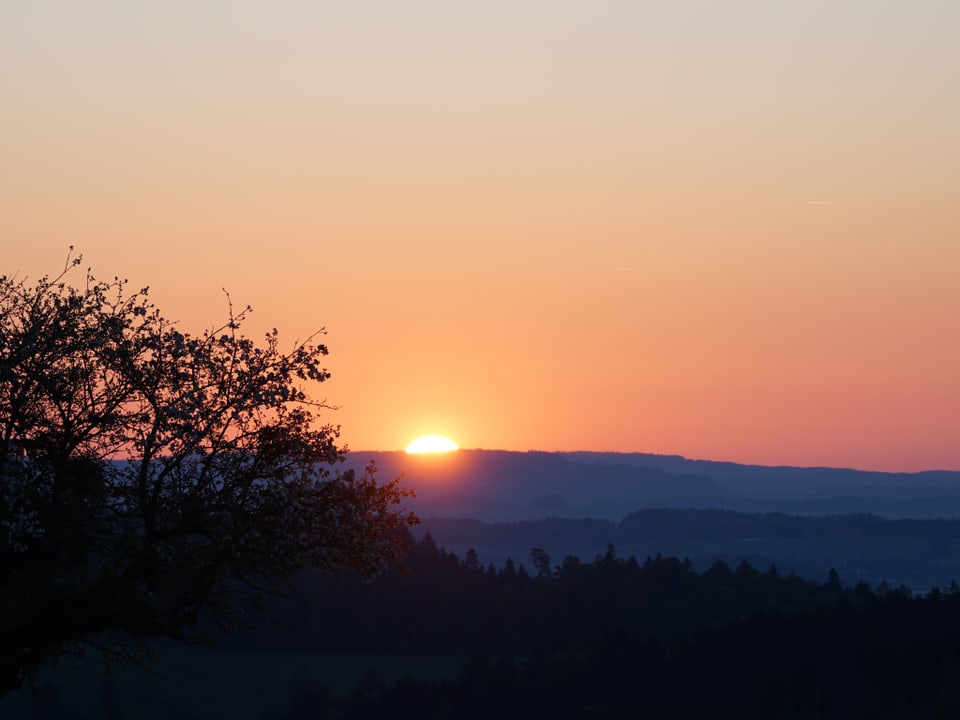 Die ersten Sonnenstrahlen in der Oberen Hueb bei Neftenbach.