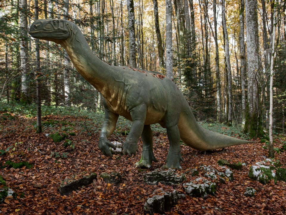 Plateosaurus Rekonstruktion