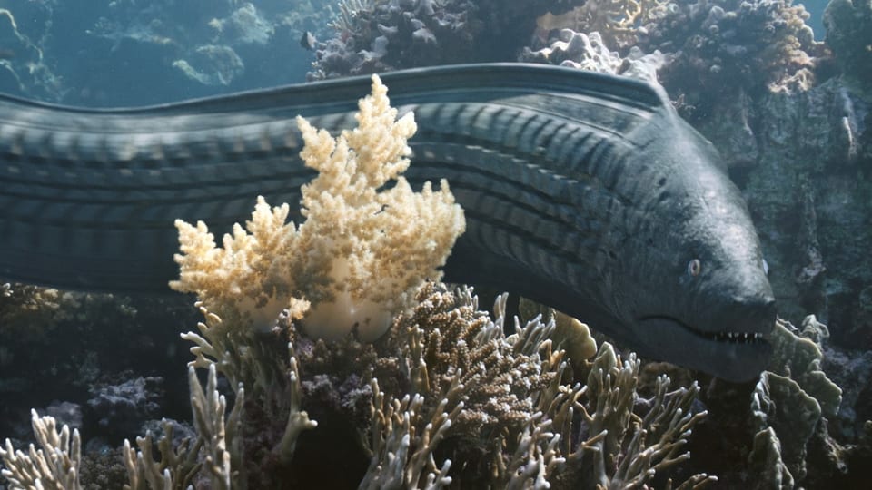 Filmszene: Moräne unter Wasser, die auf der Seite die Struktur eines Autoreifens aufweist.