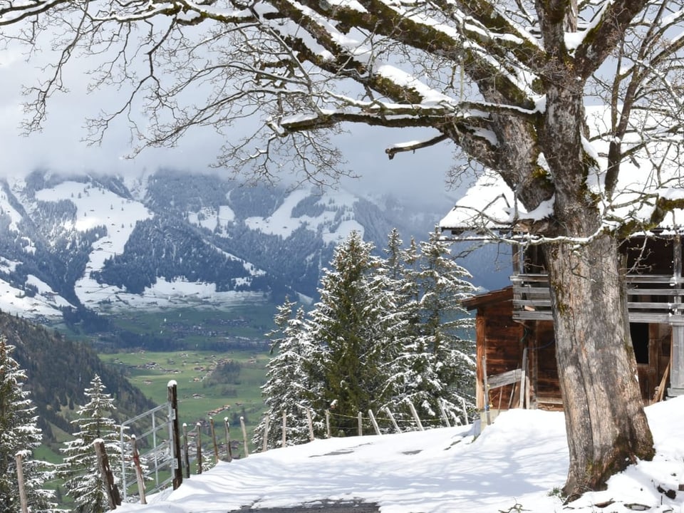 Verschneite Landschaft mit Baum und Blockhütte mit Blick auf Berge