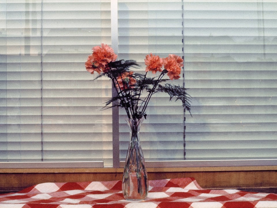 Vor einer weissen, geschlossenen Jalousie ist eine Vase mit vier roten Blumen auf einem rot-weiss karierten Tischtuch zu sehen.