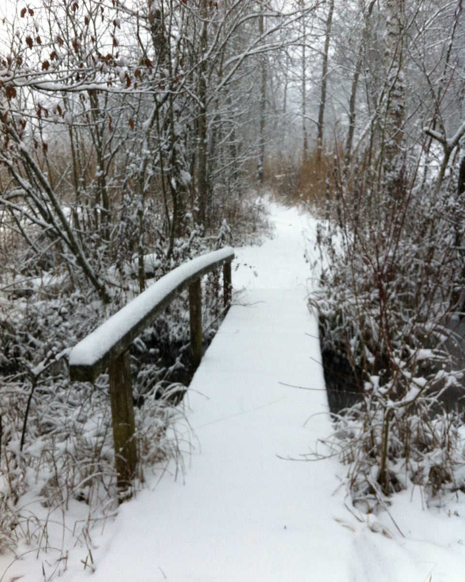 Ein kleine Holzbrücke ist schneebedeckt.