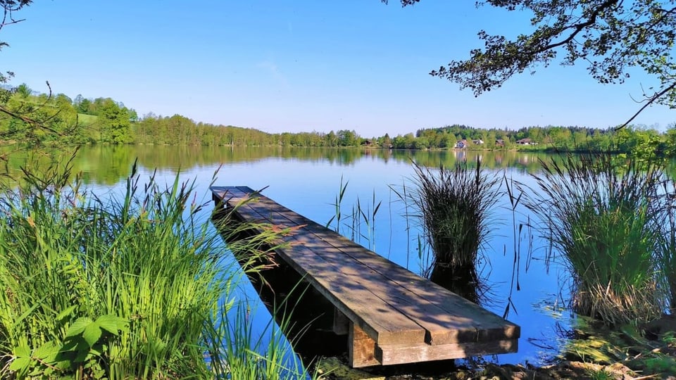 Ein Steg ragt in eine See