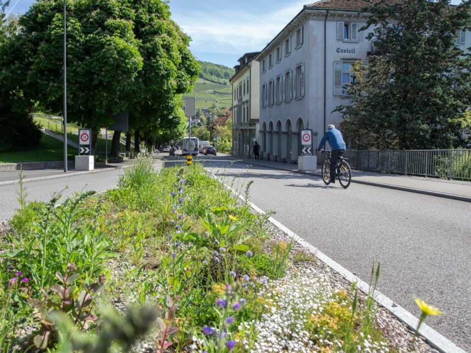 Bepflanzter Strassenrand, Velofahrer im Hintergrund.