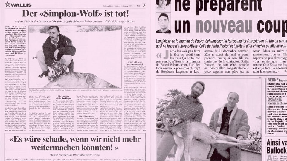 Zeitungsausschnitte mit Bildern von erlegten Wölfen.