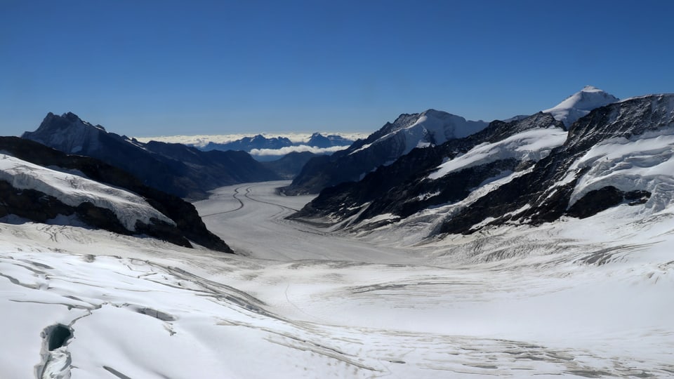 Blick vom Jungfraujoch auf den Aletschgletscher.