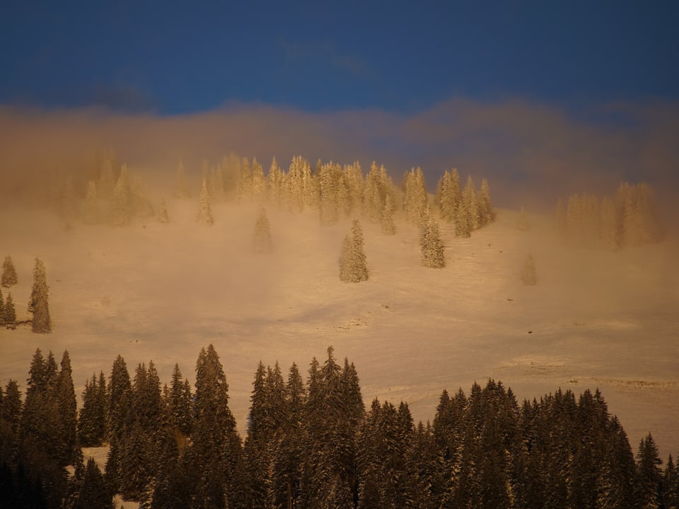 Schneebedeckter Hang mit Nebel.
