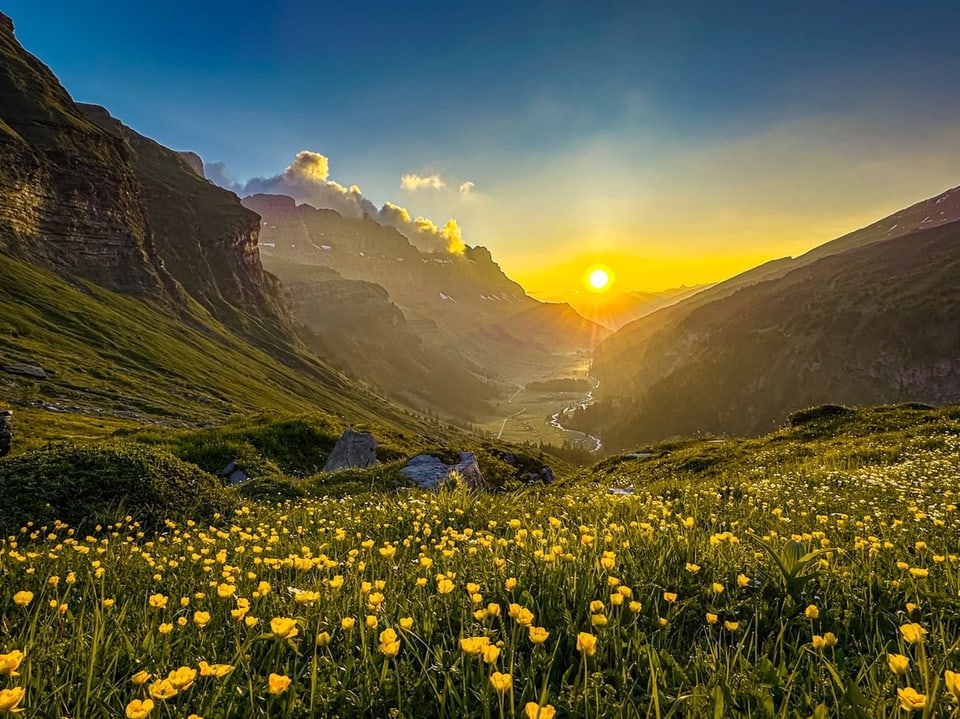 Alpental bei Sonnenaufgang in hellem gleissendem Licht. Es hat kaum Wolken, dafür viele Blumen.