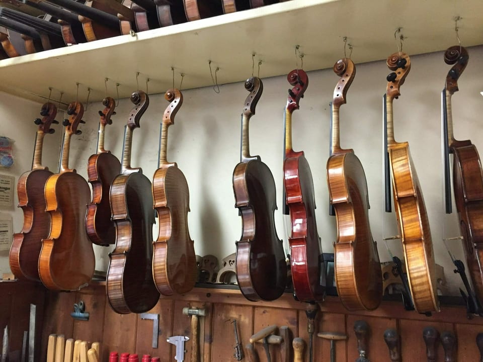 Neu lackiert glänzen die alten Geigen in neuem Glanz.