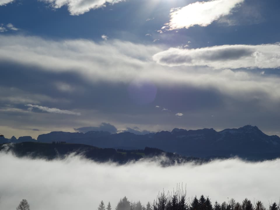Blick von Teufen auf vorüberziehende Nebelschwaden, dahinter der Säntis umgeben von Föhnwolken.