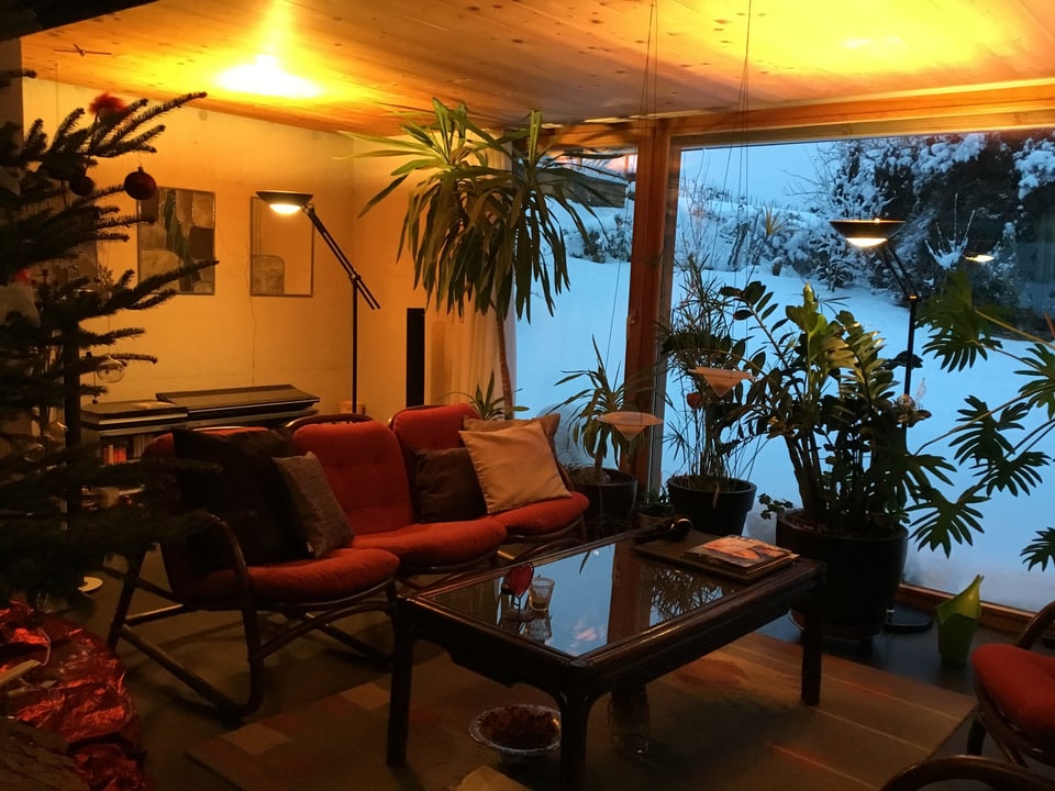 Wohnzimmer mit vielen Pflanzen und einem Sofa mit Kissen. Aussicht auf einen schneebedeckten Garten.