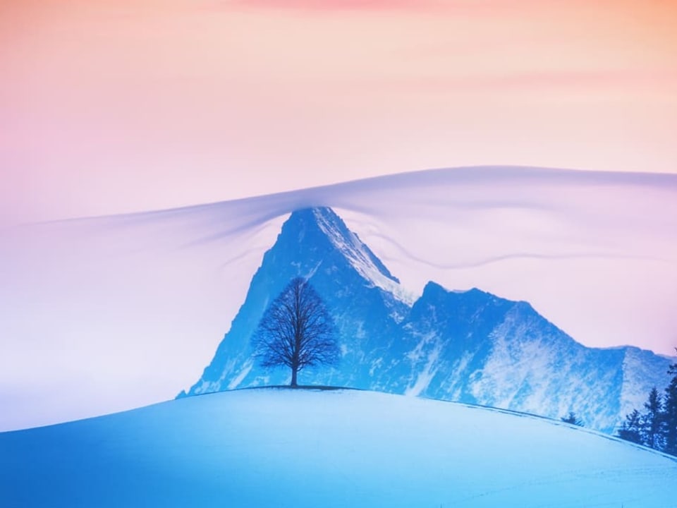 Blick über verschneiten Hügel mit Baum auf einen schroffen Berg mit dünner Wolke um den Gipfel. 