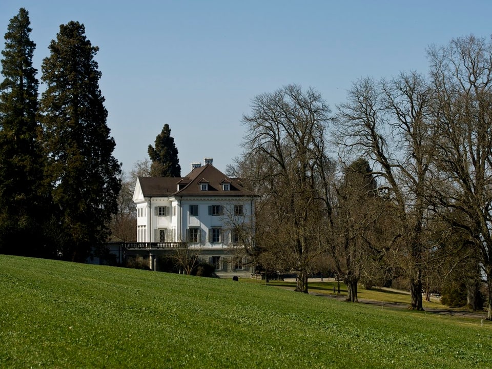Totale des Schlosses Eugensberg. Allee aus Bäumen im führt zum Schloss.