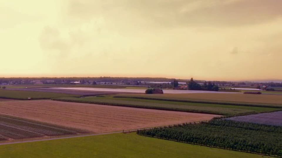 Ackerland