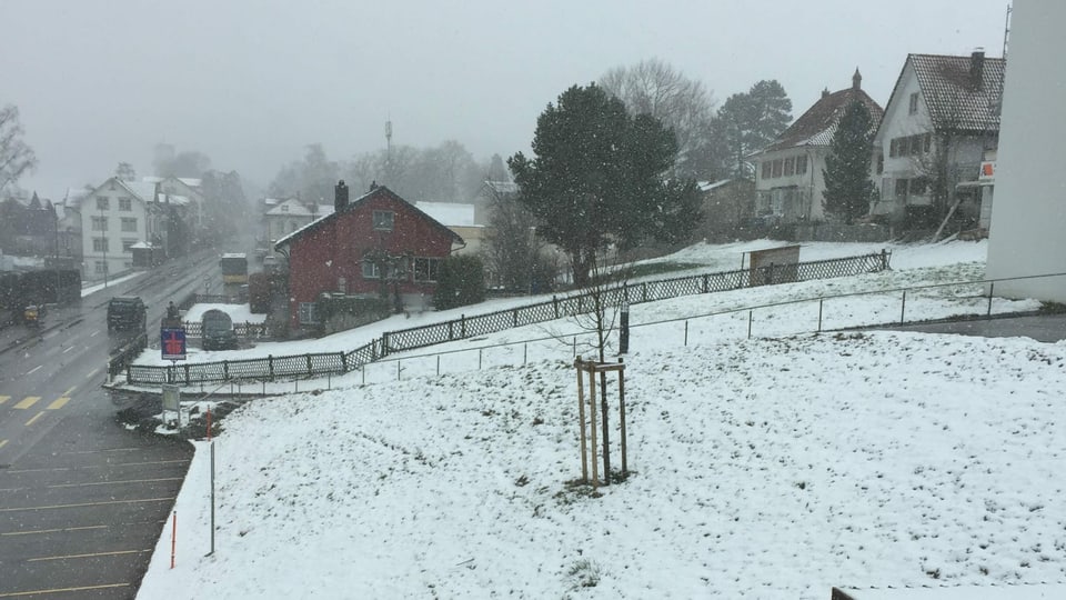 Leicht verschneite Wiesen in Heiden.