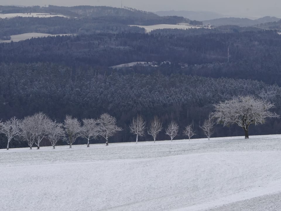 Weisse Winterlandschaft.