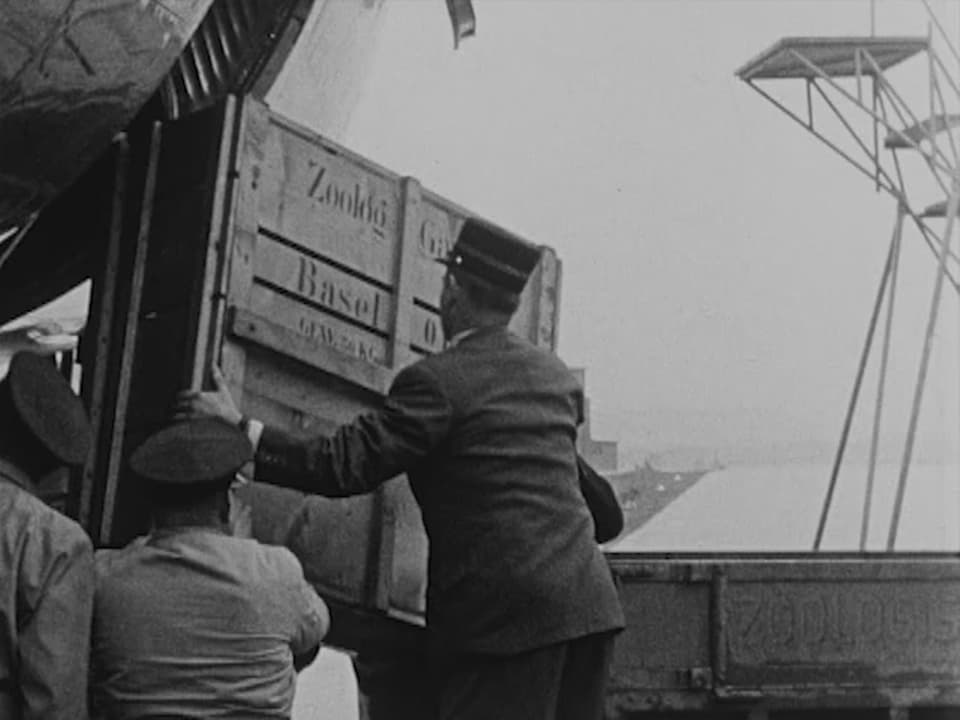 Männer laden eine Kiste aus Flugzeug