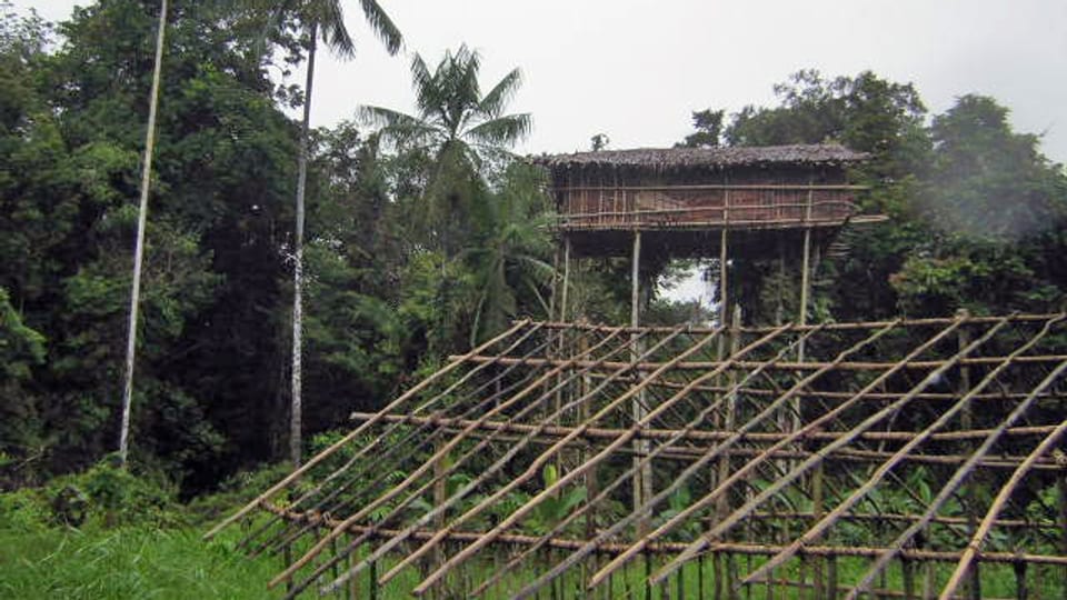 Baumhaus auf Stelzen im Dschungel