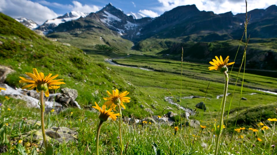 Eine Landschaft im Kanton Graubünden.