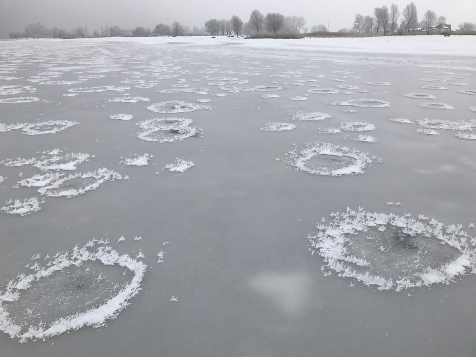 Auf einem gefrorenen Gewässer haben sich in Kreisen eigenartige Schneekristalle formiert.