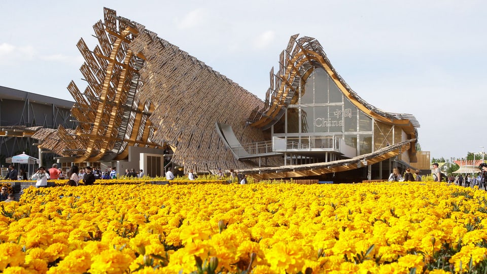 Der chinesische Pavillon hat ein geschwungenes Dach. Vor dem Pavillon ist ein gelbes Blumenfeld.