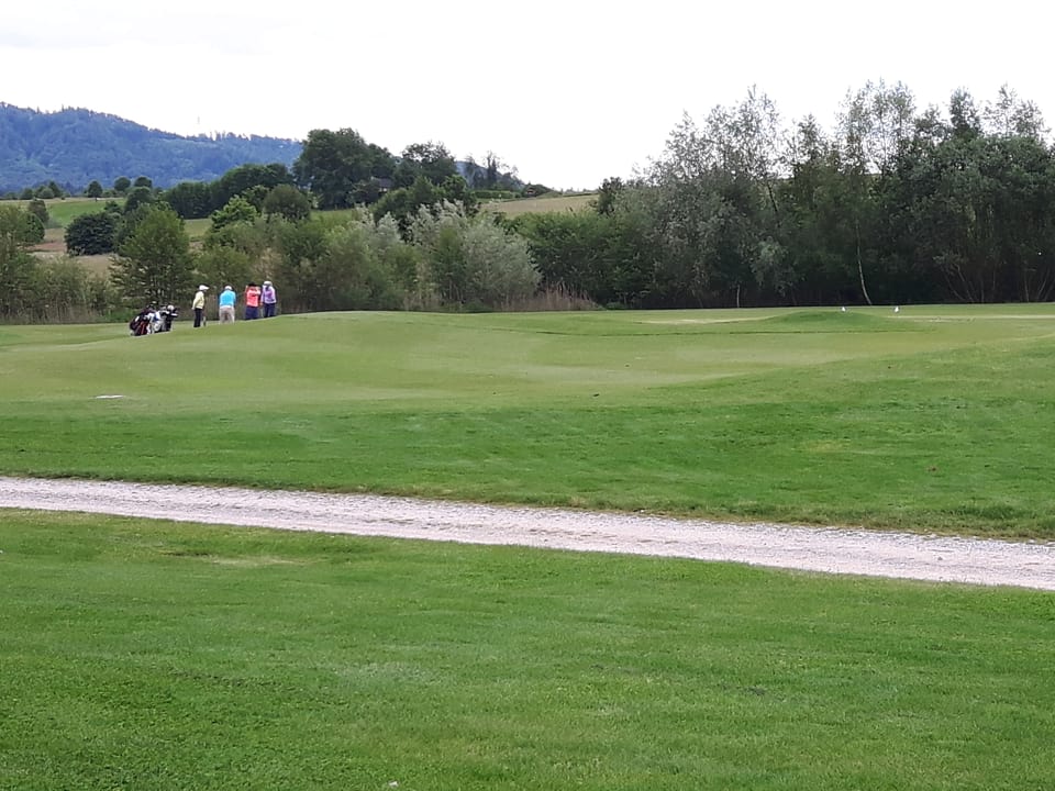 Kleine Gruppe Golfer zieht ihre Trolleys auf der Golfanlage hinter sich her.
