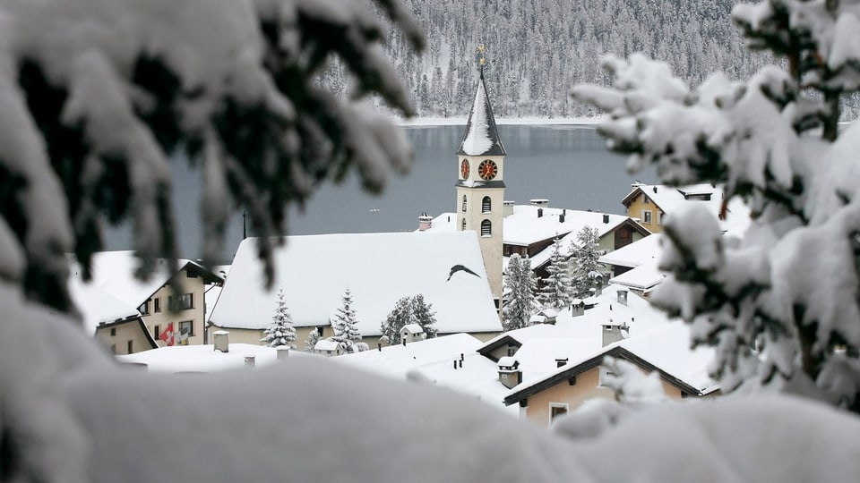 Blick zwischen zwei Tannen durch über die verschneiten Dächer, den Kirchturm und den See von Silvaplana.