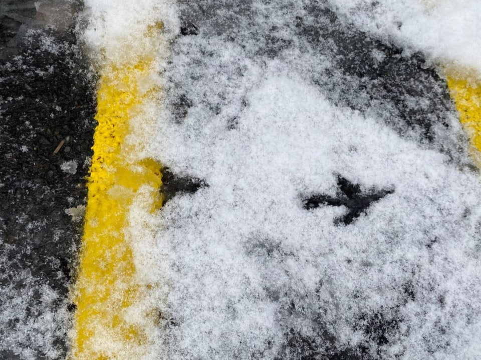 Tierspuren von einem Vogel im Schnee