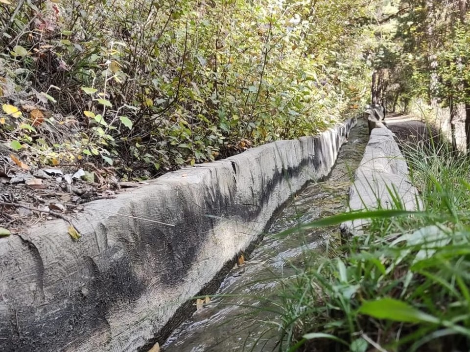 Holzleitung für Wasser-Suonen.