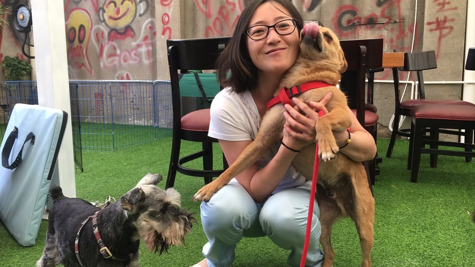 Eine chinesische Frau mit zwei Hunden. 