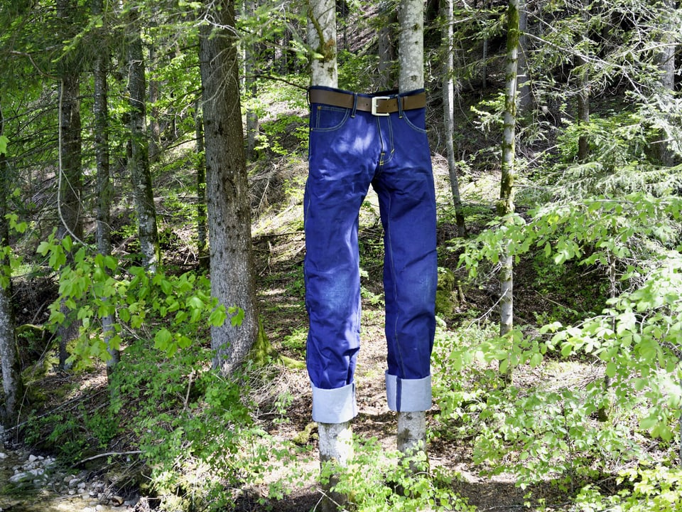 Eine blaue Jeans hängt im Wald.