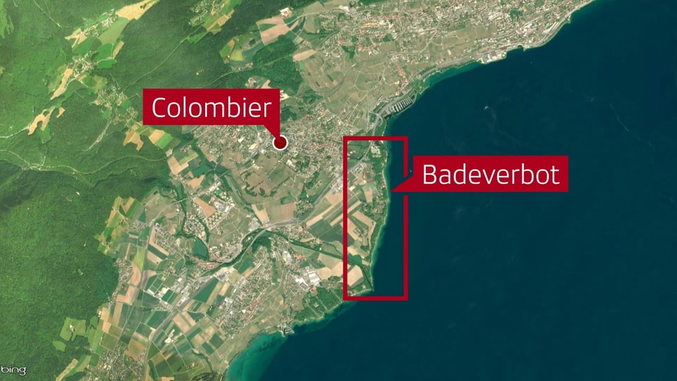 Zwischen der Areuse-Mündung und Colombier haben die Behörden mehrere Strände geschlossen.