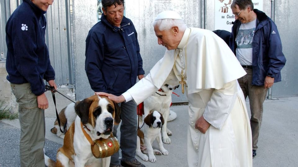 Der Papst streichelt einen weiss-braunen Bernhardiner.