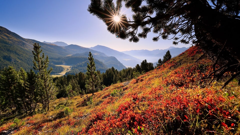 Bergwetter mit rostfarbigen Wiesen, blauem Himmel und grünen Wäldern.