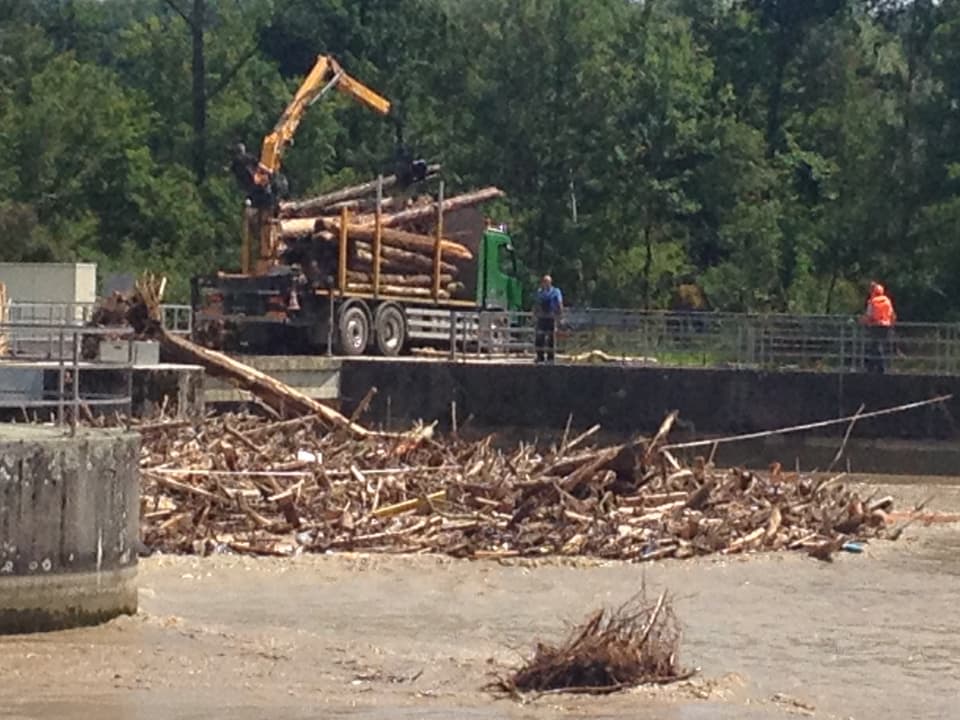 Mit einem Lastwegenkran werden beim Laufkraftwerk Holzstämme aus dem Wasser gezogen.