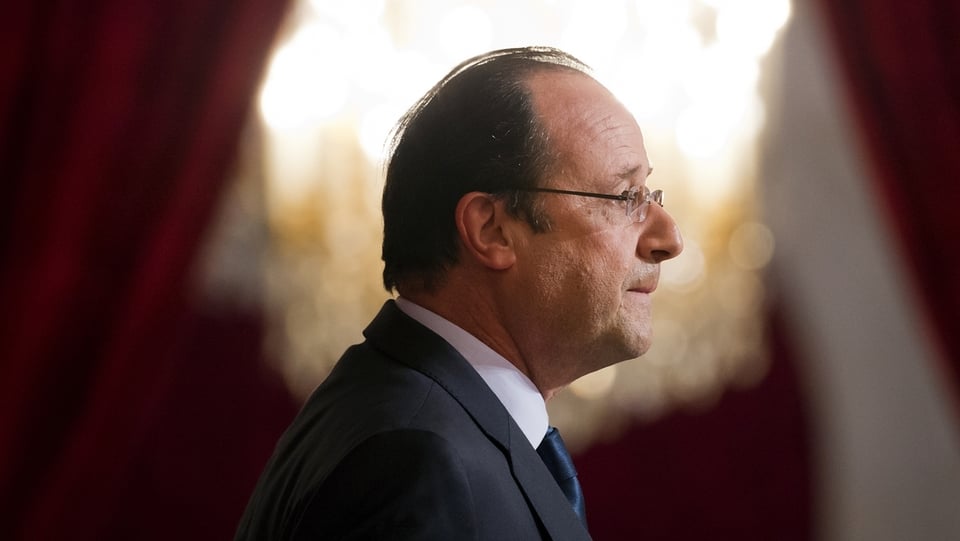 Hollande, Profilaufnahme.