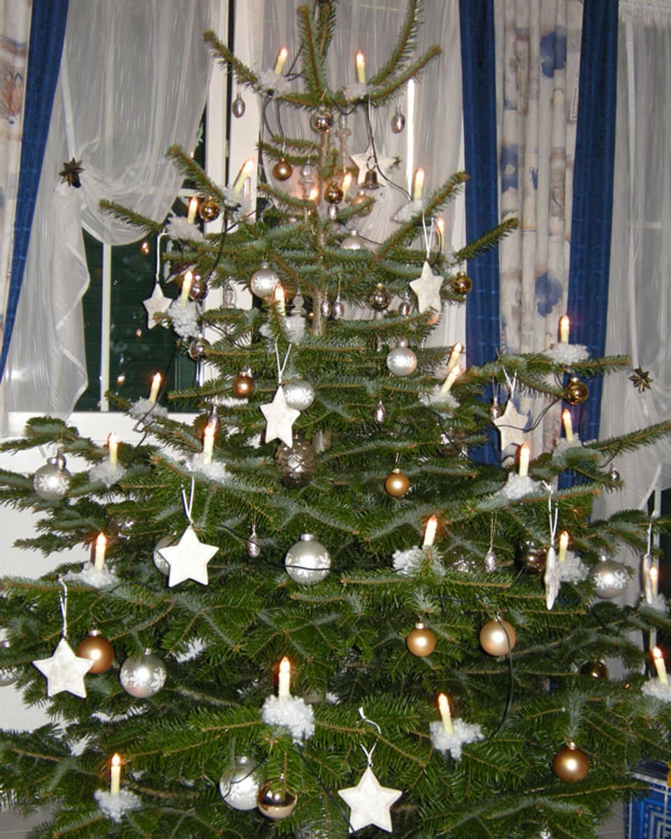 Weihnachtsbaum von Priska Abegg aus Steinerberg.