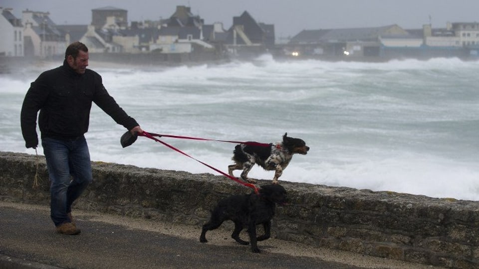 Spaziergänger mit Hunden am Strand in der Nähe von Brest.