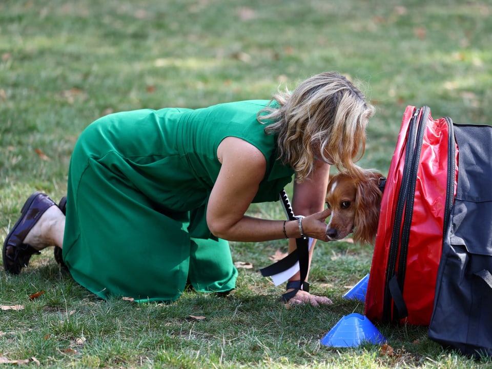 Anna McMorrin in einem grünen Kleid und auf einer Wiese kniend, streichelt ihren Hund.