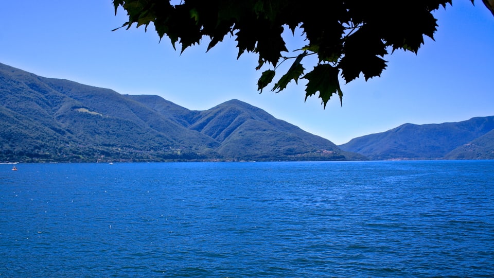 Blick von Ascona über den wolkenlosen Lago Maggiore