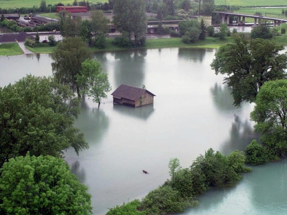 Überschwemmtes Gebiet mit einem isolierten Haus umgeben von Wasser und Bäumen