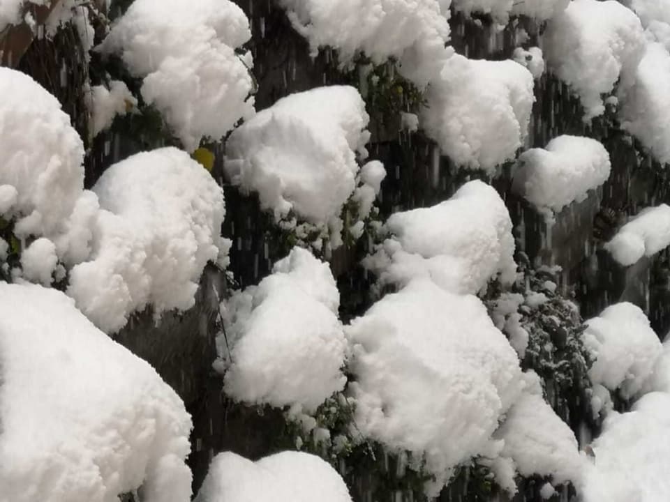 Eine Mauer mit Schnee.