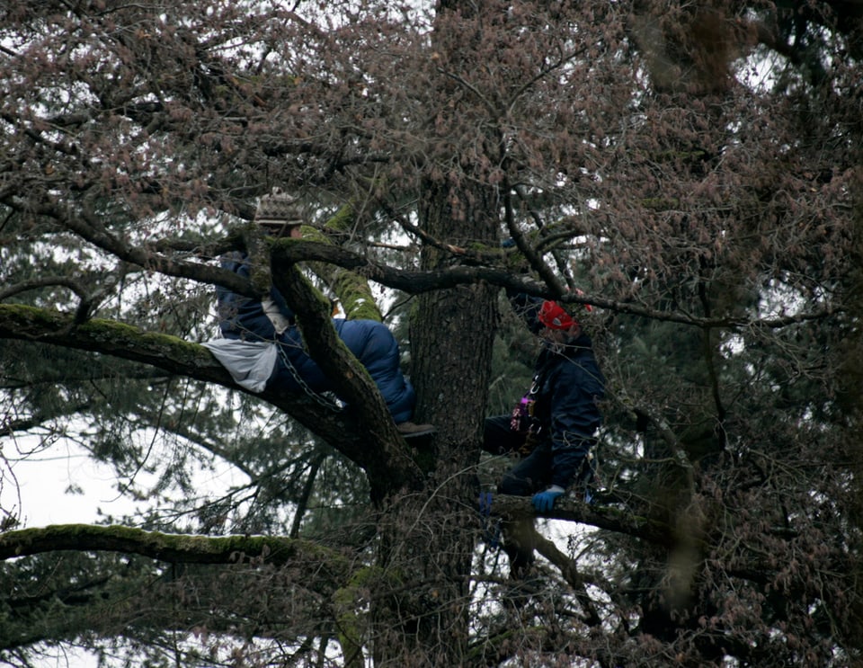 Zwei Menschen auf einem Baum