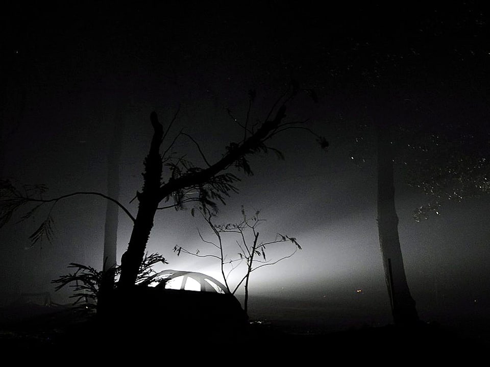 Verkohlter Wald bei Nacht. Im Gegenlicht einer Lampe ist ein Autowrack zu sehen.