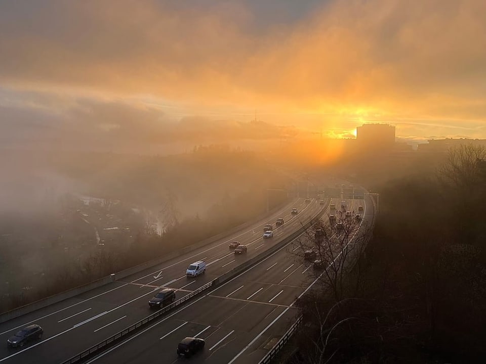 Autobahn, Nebel und Sonnenaufgang rötlich.