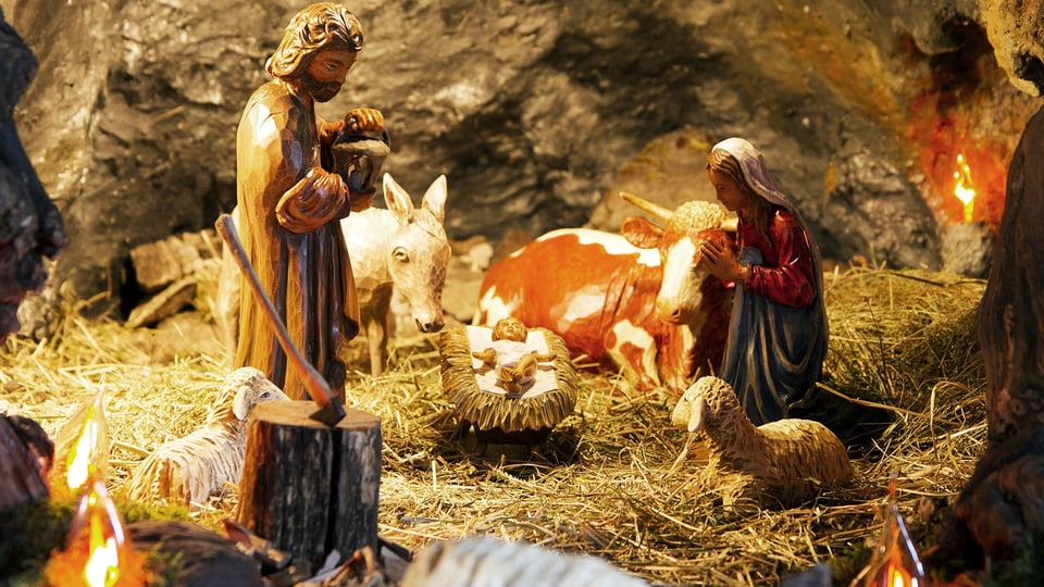 Blick in eine traditionelle Weihnachtskrippe mit Josef, Maria, Jesuskind, Ochse, Esel und ein paar Schafen.