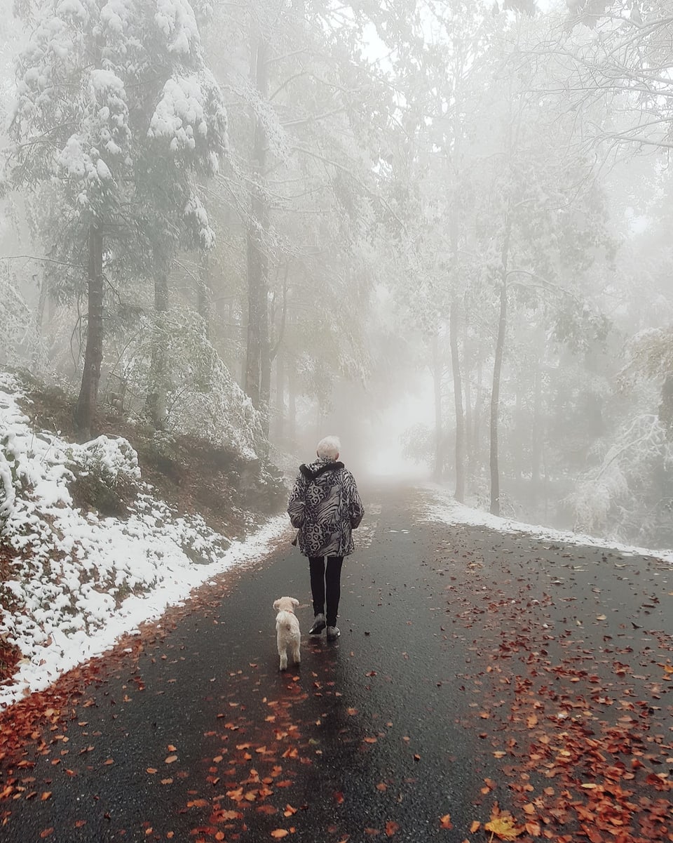 Eine Frau spaziert durch den leicht schneebedeckten Wald, auf der Strasse liegen farbige Blätter.